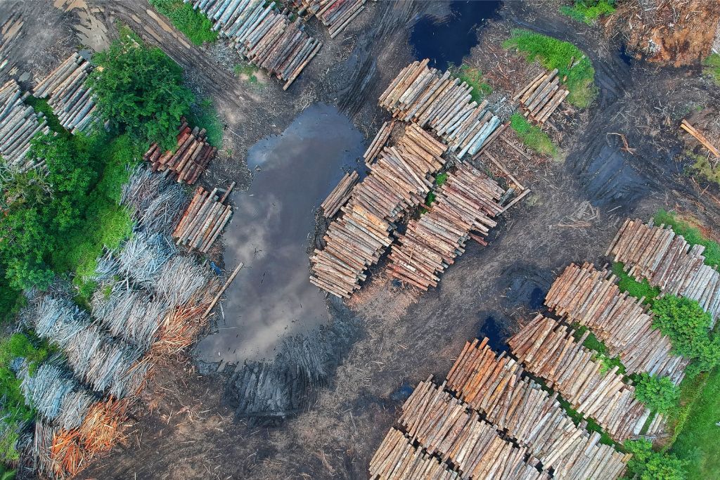 Matopiba Frontier: Accelerating Deforestation in Formosa do Rio Preto