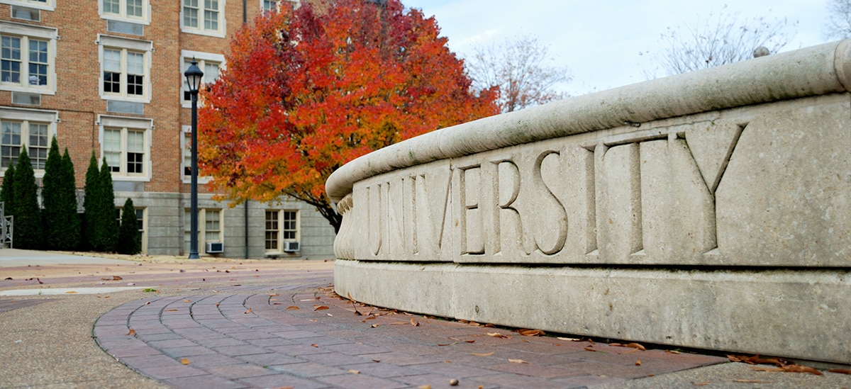 The Trillion Dollar Aggregate: Mapping the Total Wealth of Top 50 Endowments